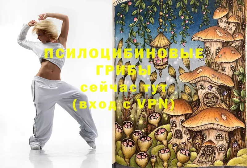 Псилоцибиновые грибы Magic Shrooms  omg ссылки  Нестеровская 