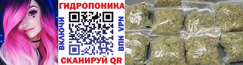 Бошки Шишки VHQ  Нестеровская 